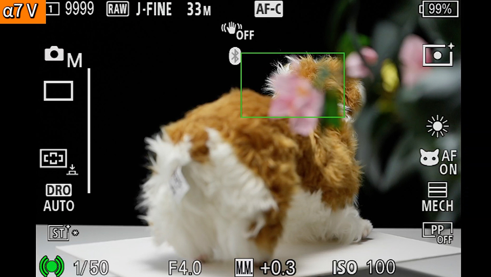 α7 V : フォーカスエリア [ワイド]