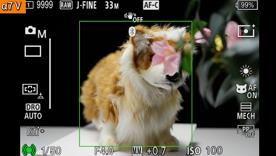 α7 V : フォーカスエリア [ワイド]