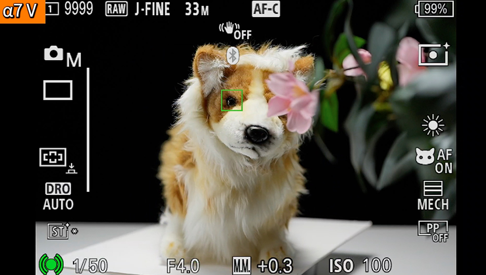 α7 V : フォーカスエリア [ワイド]