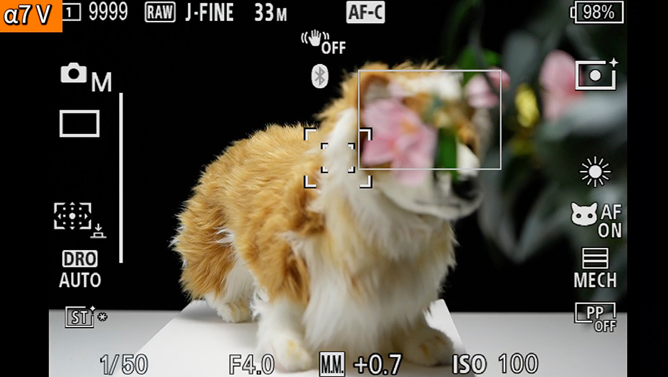 α7 V : フォーカスエリア [拡張スポット]