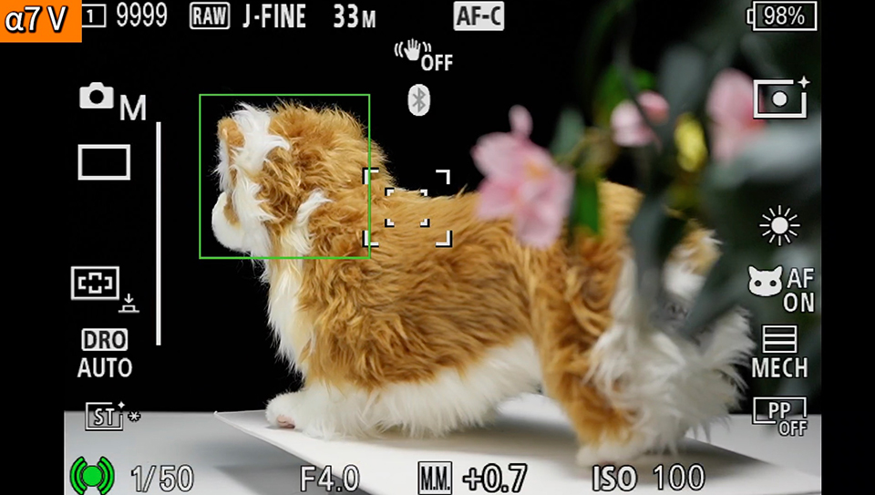 α7 V : フォーカスエリア [拡張スポット]