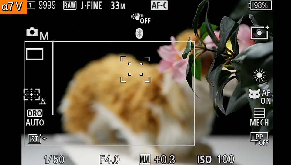 α7 V : フォーカスエリア [拡張スポット]