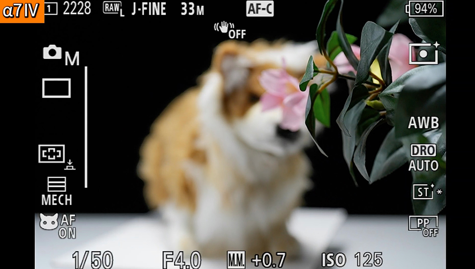 α7 IV : フォーカスエリア [ワイド]