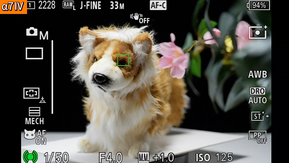 α7 IV : フォーカスエリア [ワイド]