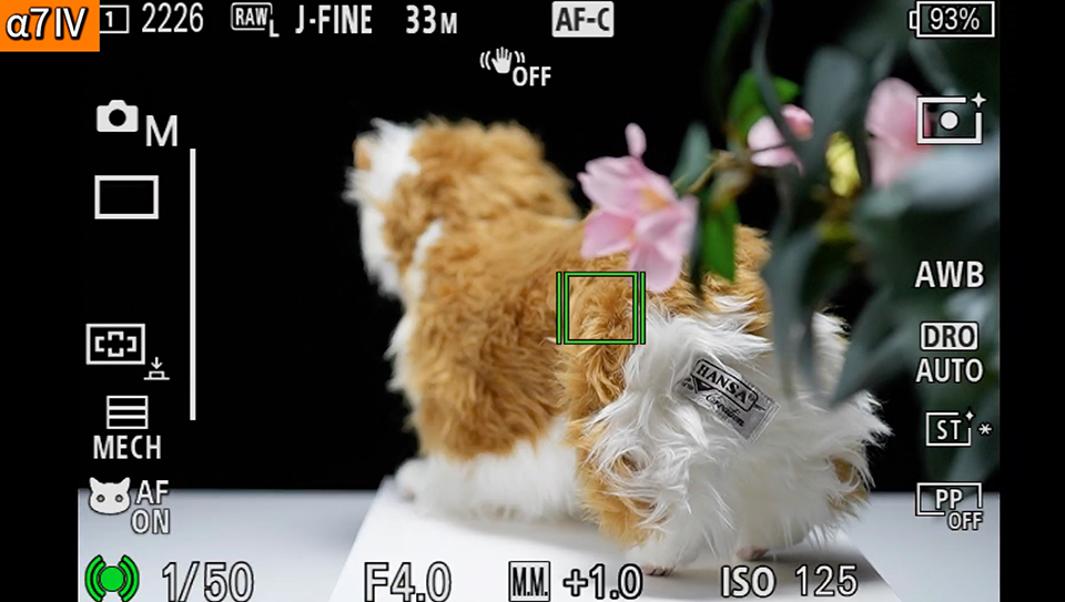 α7 IV : フォーカスエリア [ワイド]