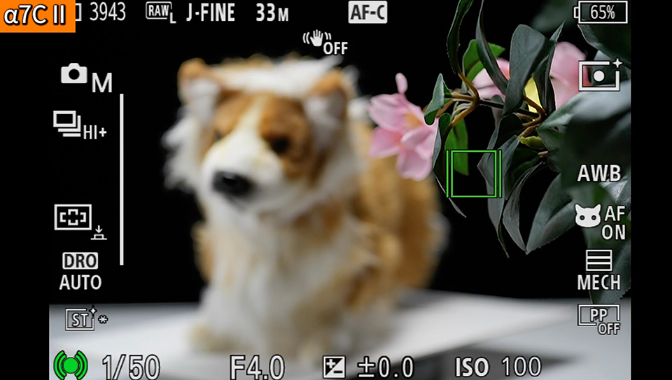 α7C II : フォーカスエリア [ワイド]