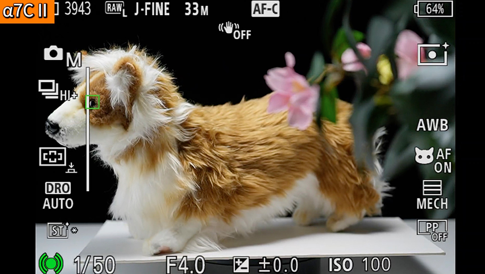 α7C II : フォーカスエリア [ワイド]