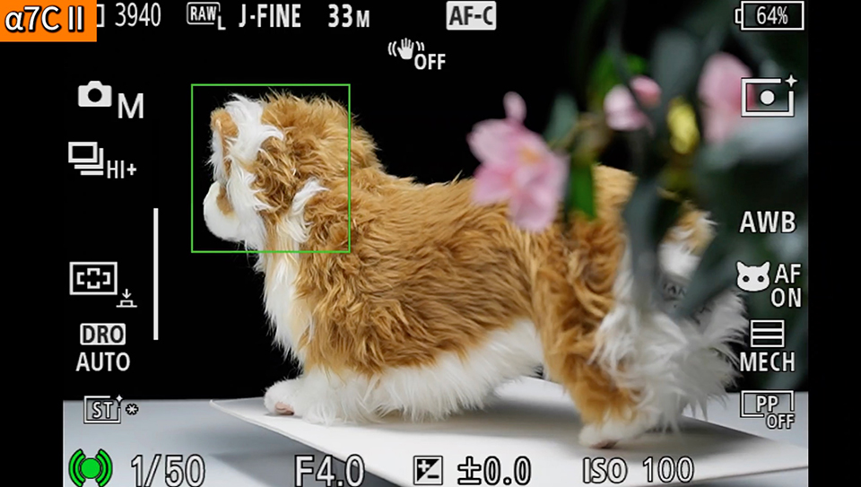 α7C II : フォーカスエリア [ワイド]