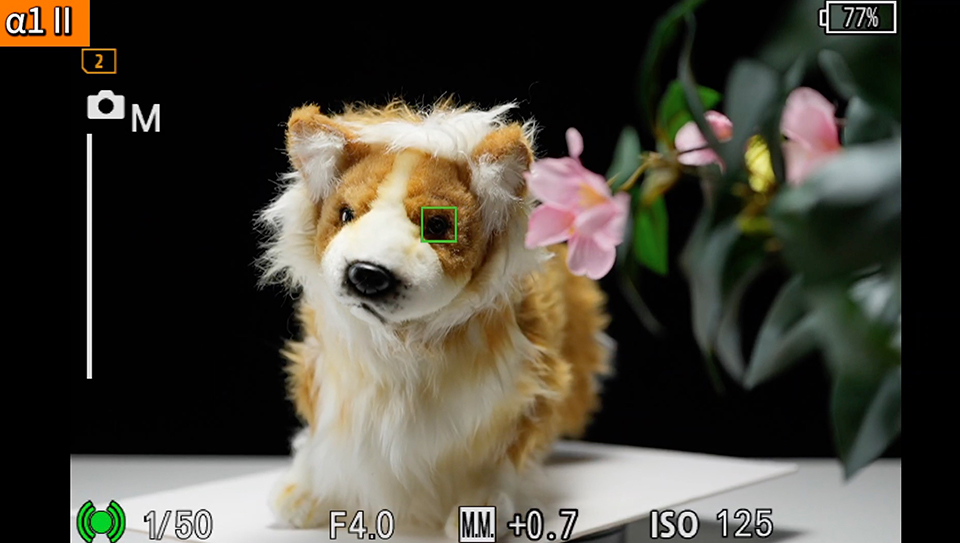 α1 II : フォーカスエリア [ワイド]