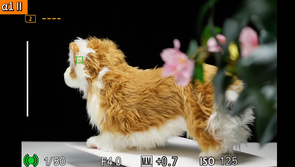 α1 II : フォーカスエリア [ワイド]