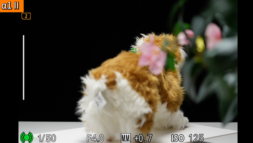 α1 II : フォーカスエリア [ワイド]