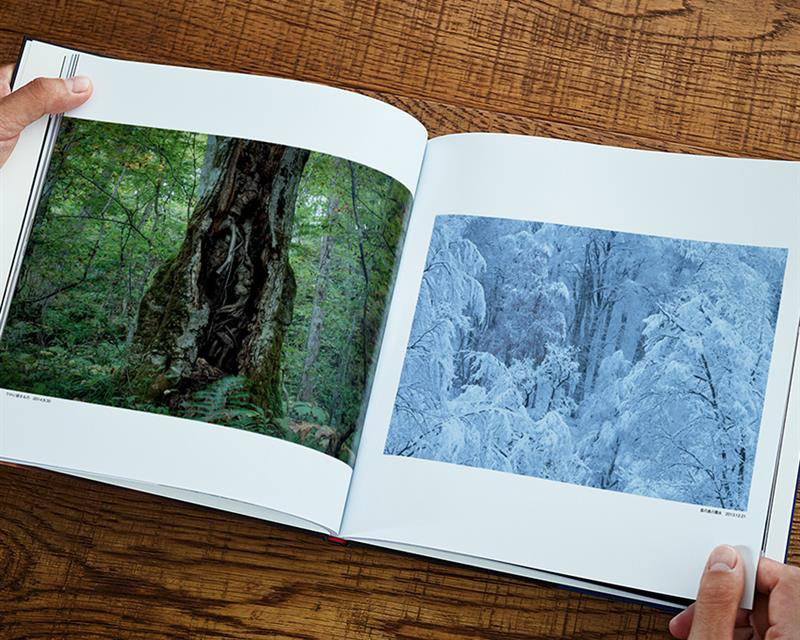 原生林が育んだ大自然を高画質で堪能できる限定500部の岩木登写真集