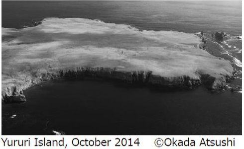 岡田敦写真展「ユルリ島の馬」～The Horses of Yururi Island～