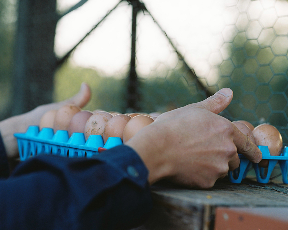 ZOOMS JAPAN 2026 グランプリ「身土不二」丹野雄二