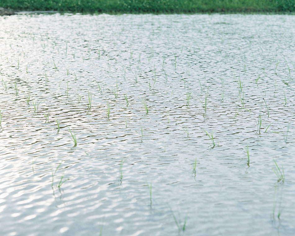 ZOOMS JAPAN 2026 グランプリ「身土不二」丹野雄二