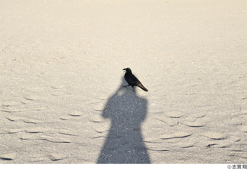 「四月になればここは」神奈川県立逗子葉山高等学校写真部展