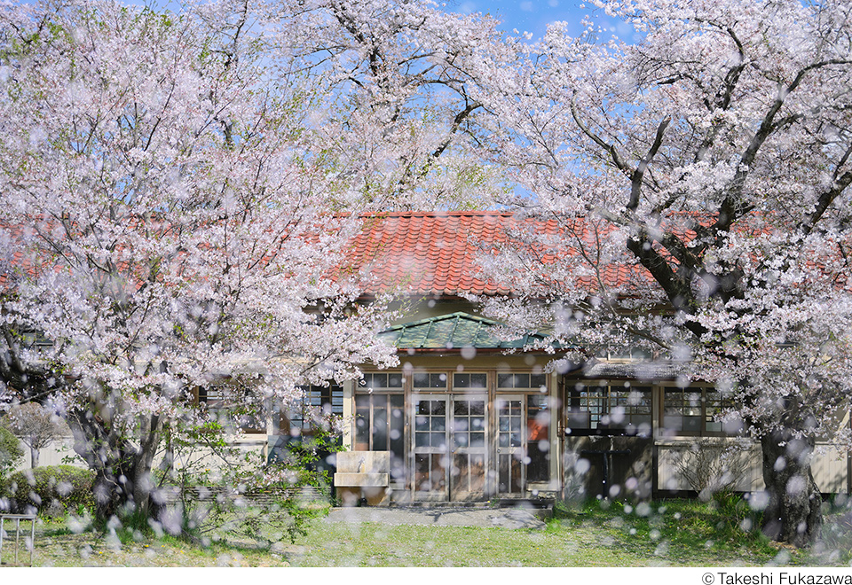 深澤武写真展「桜」