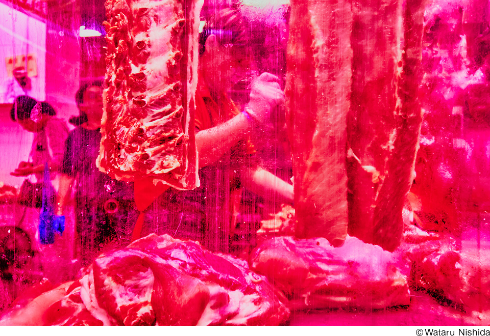 西田航写真展「香港 HONG KONG」