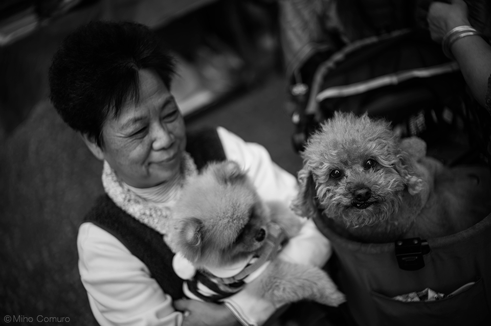 ライカ ノクティルックスM f1.2/35 ASPH. 実写レビュー