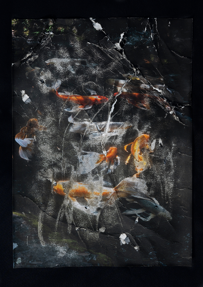 東京工芸大学 芸術学部 写真学科 卒業制作選抜 Recommend展 2026