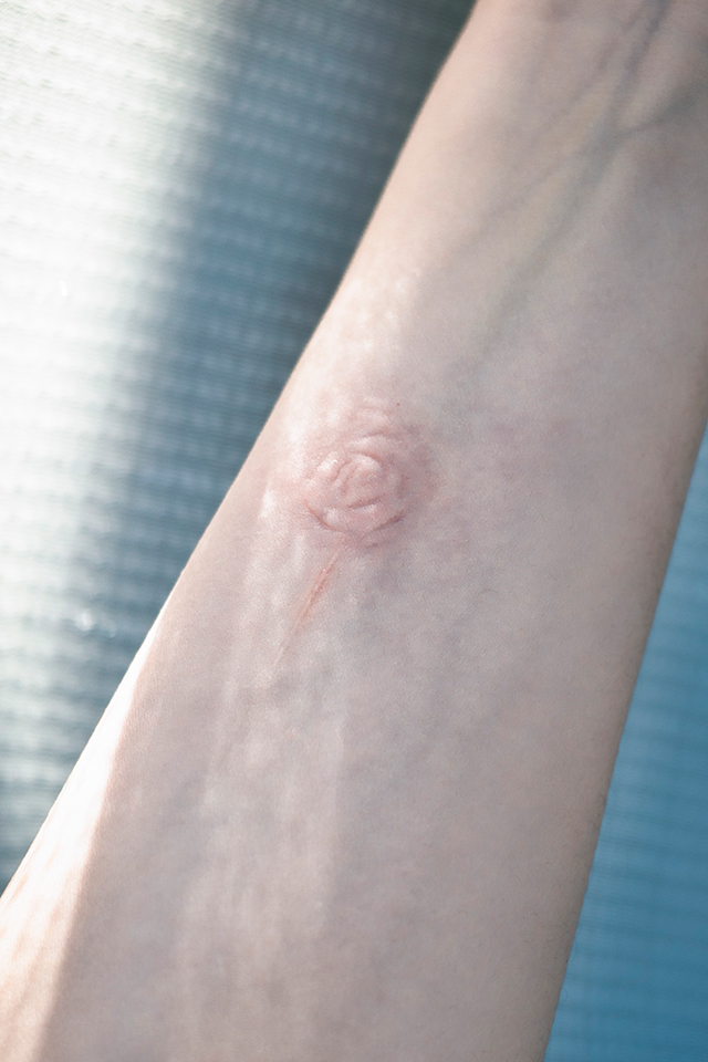 東京工芸大学 芸術学部 写真学科 卒業制作選抜 Recommend展 2026