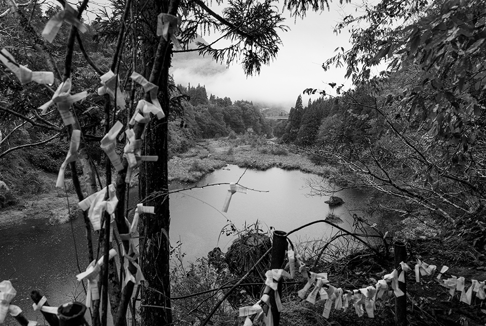 東京工芸大学 芸術学部 写真学科 卒業制作選抜 Recommend展 2026