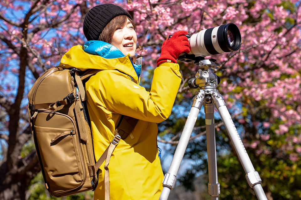 サミットクリエイティブ×清家道子