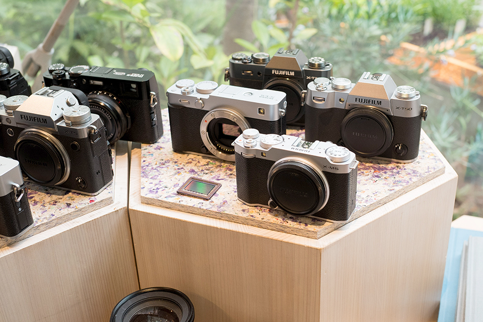 花を売らない、色を撮る花屋