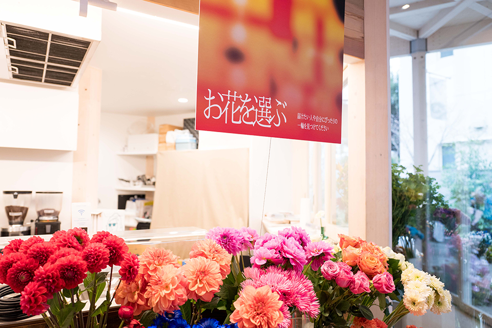 花を売らない、色を撮る花屋