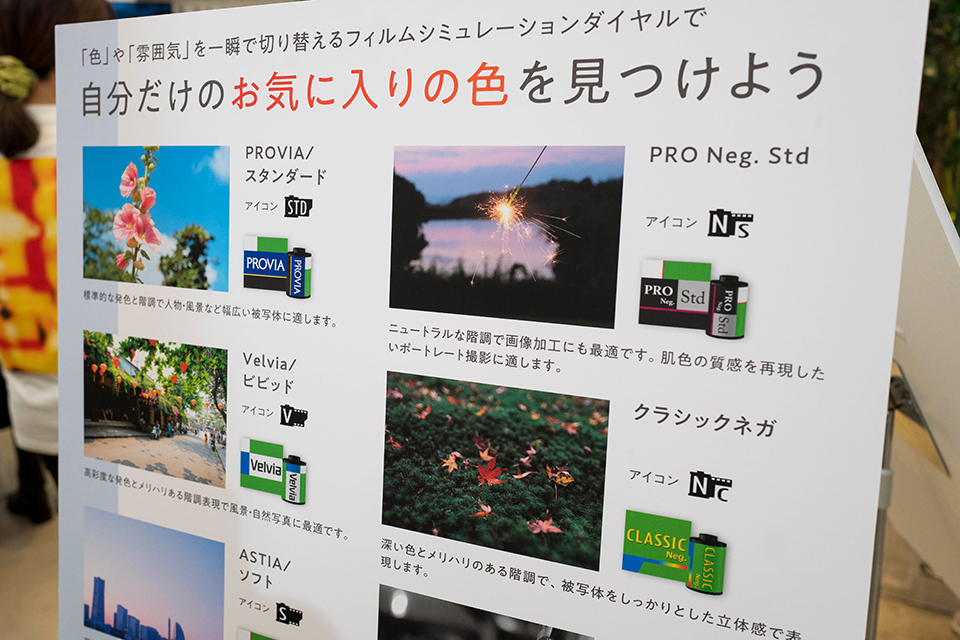 花を売らない、色を撮る花屋