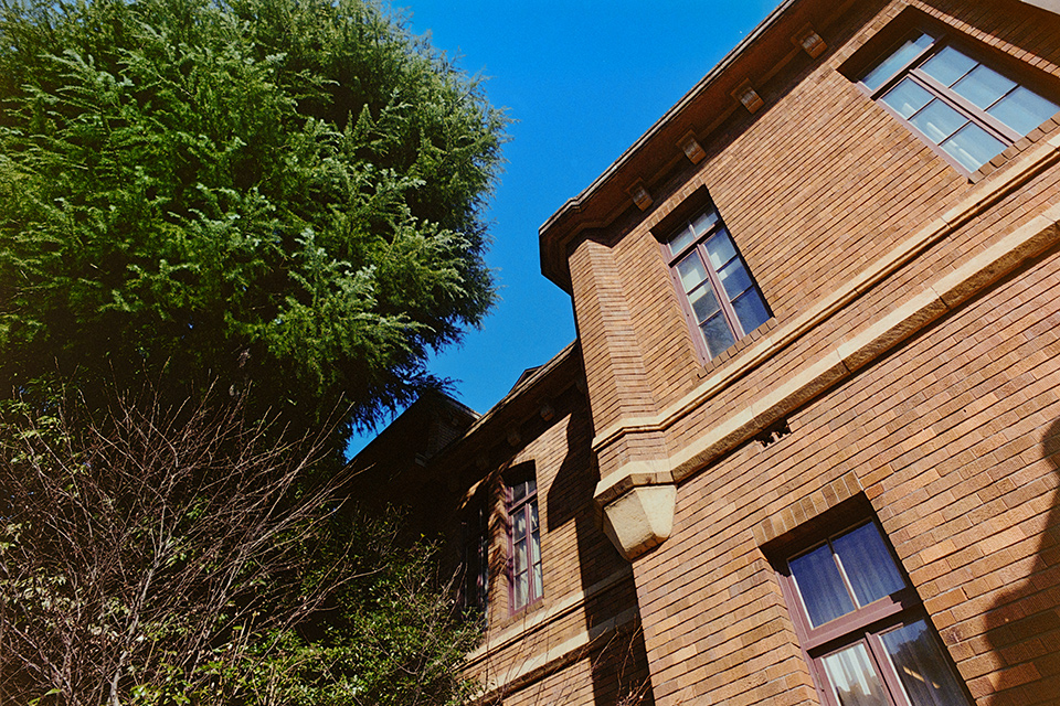 FUJIFILM 400 実写レビュー