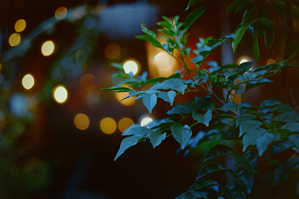 FUJIFILM 400 実写レビュー