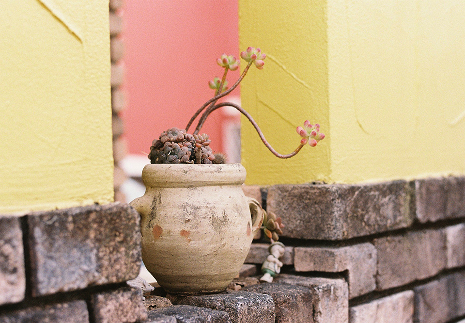 FUJIFILM 400 実写レビュー