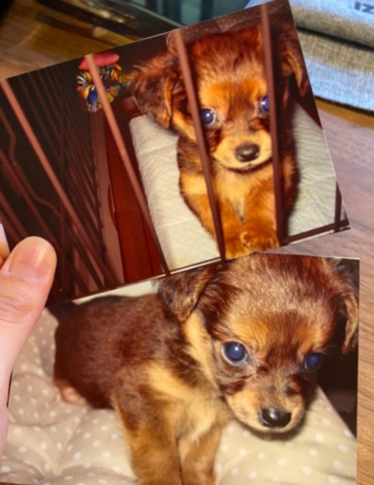 大島璃音の写真日記 vol.3