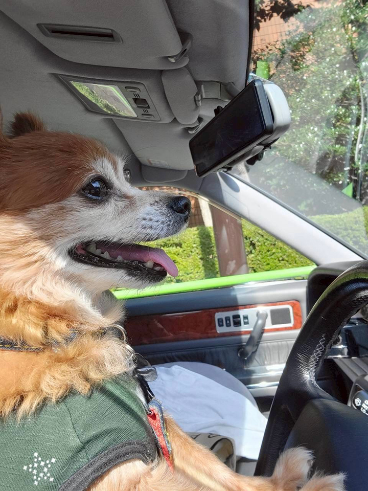 大島璃音の写真日記 vol.3