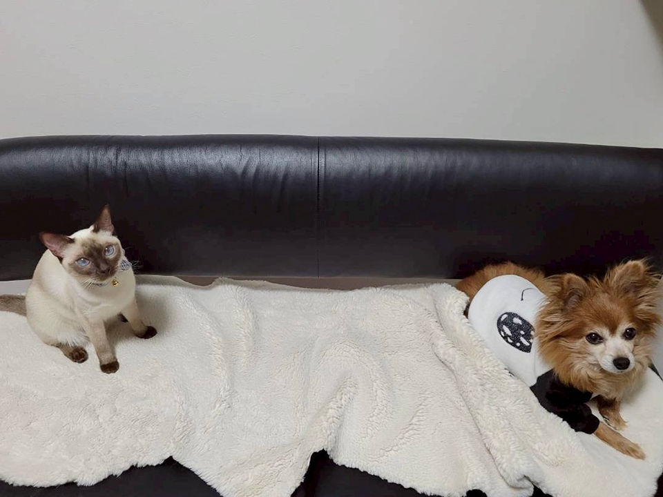 大島璃音の写真日記 vol.3