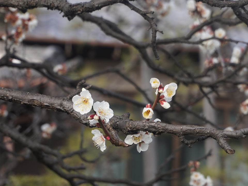 大島璃音の写真日記 vol.3