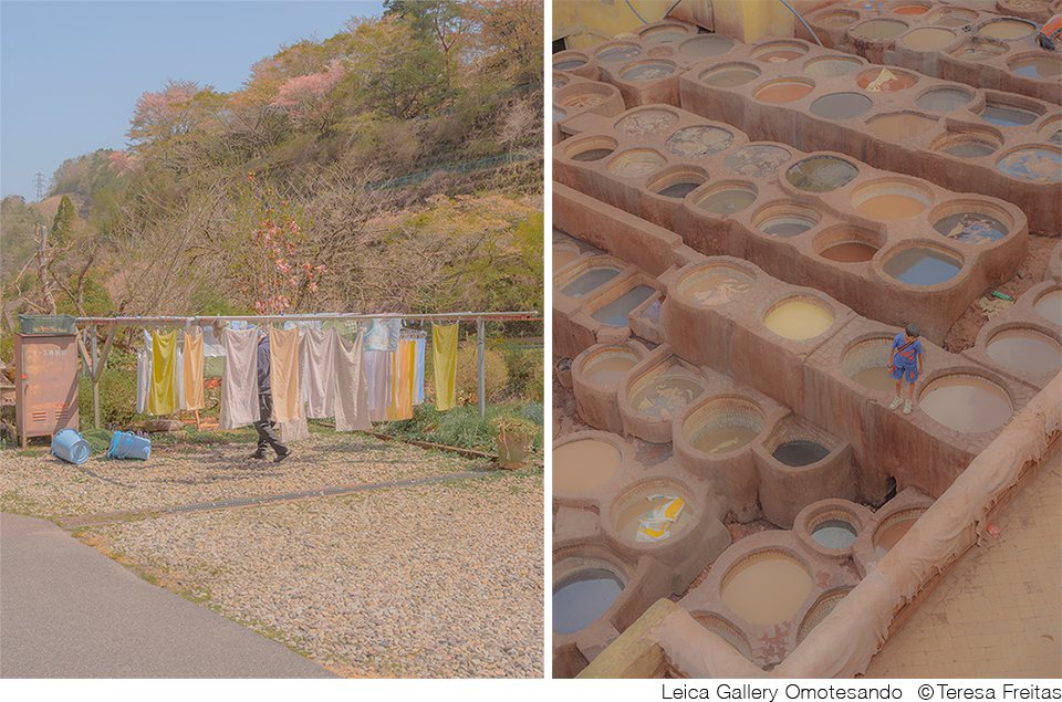 テレサ・フレイタス写真展「Meeting Point」