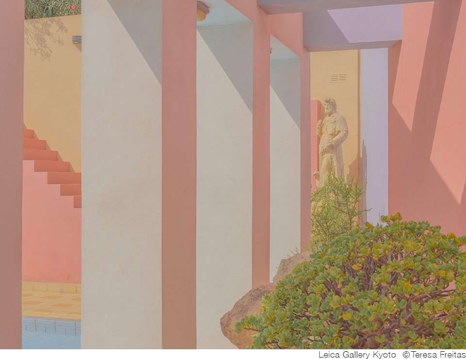 テレサ・フレイタス写真展「Colour Matter (s)」