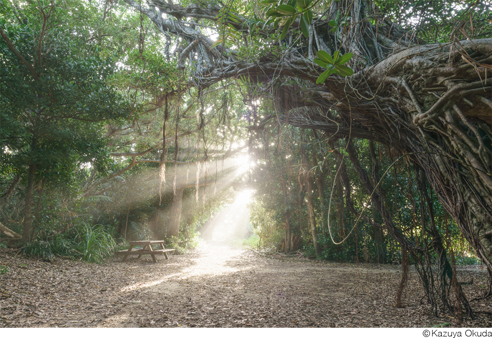 奥田和也作品展「久高島の世界」