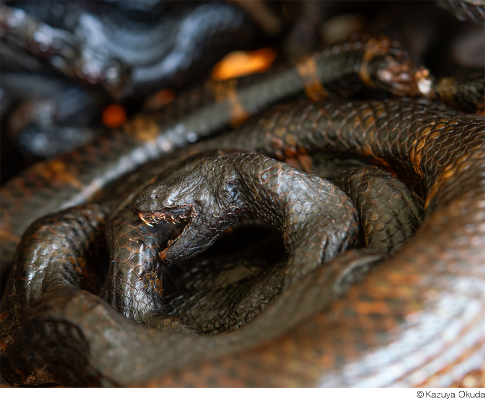 奥田和也作品展「久高島の世界」