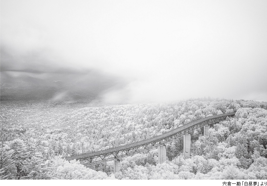 日本大学藝術学部写真学科2026卒業生 有志展示