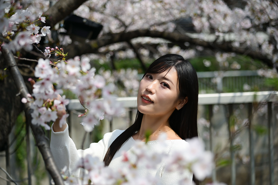 タムロン 35-100mm F/2.8 Di III VXD 実写レビュー