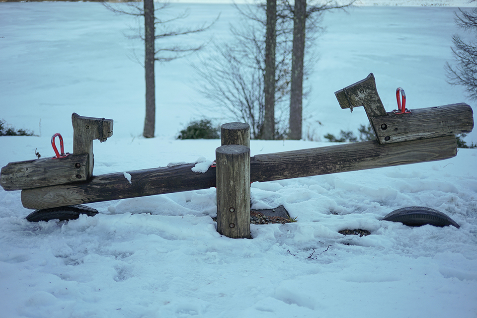 SEPTON 40mm F2 Aspherical Eマウント