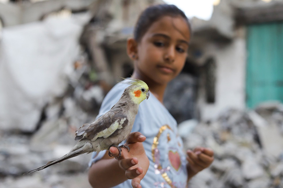 ファトマ・ハッスーナ「The eye of Gaza」