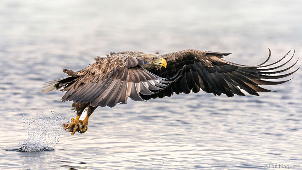 南雲るい×流氷クルーズ