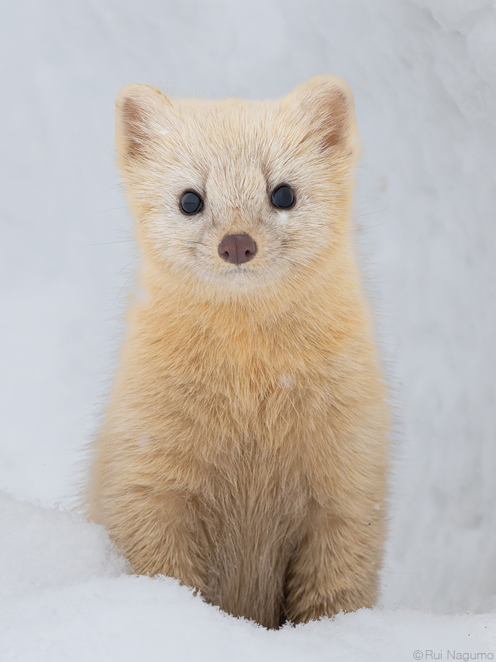 南雲るい×流氷クルーズ