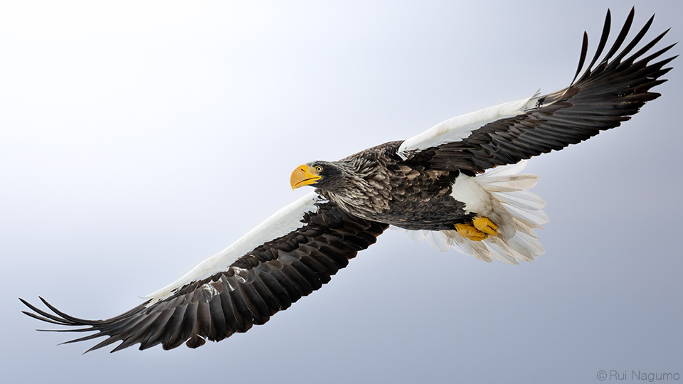 南雲るい×流氷クルーズ
