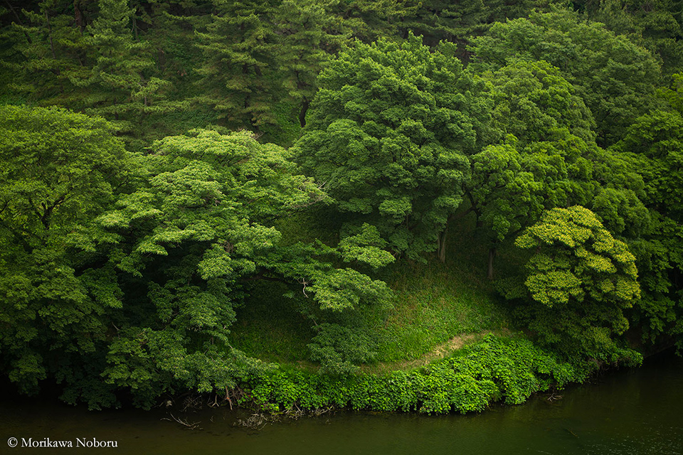 森川昇写真展「CHIDORIGAFUCHI」