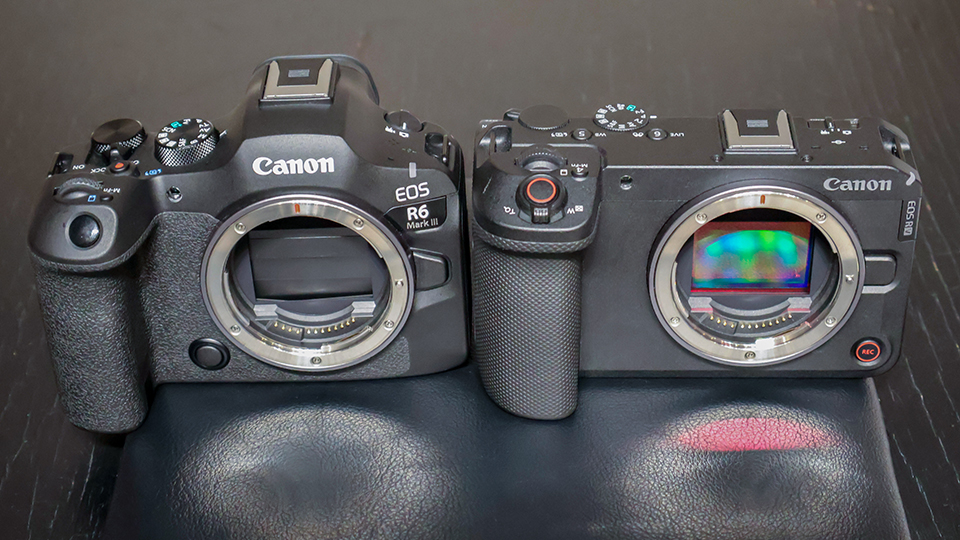 EOS R6 V